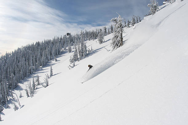 shreddin' - foto de acervo