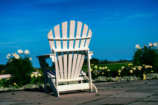 istock Adirondack Chairs Arranged Neatly Looking Out At The Beautiful Lake Huron 1167881136