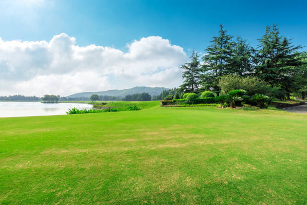 istock Green grass and blue sky with white clouds in summer season 1167884157