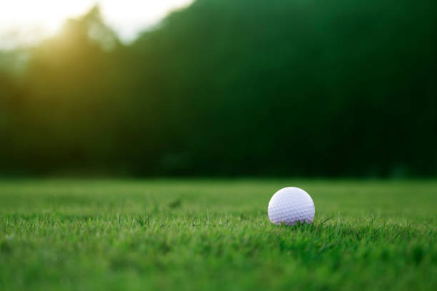 istock Golf ball is on a green lawn in a beautiful golf course 1167884396