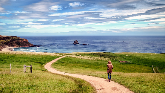A sad lonely girl follows a narrow path towards the beach. The road is narrow and windy. The ocean is blue. The grass is lush and green. This is a great place to relax, enjoy nature and travel.
