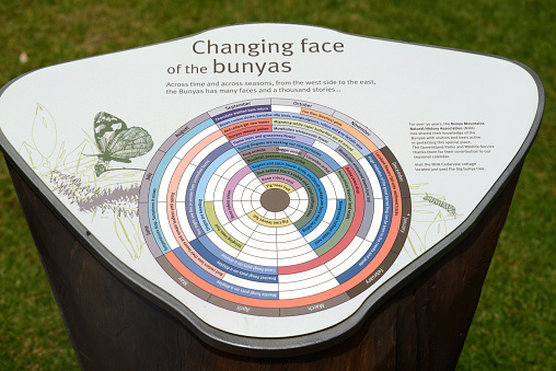 Bunya Mountains, Australia, April 1, 2016: A display board at the Bunya Mountains National Park in Queensland Australia gives an overview of yearly cycles in the rainforest.