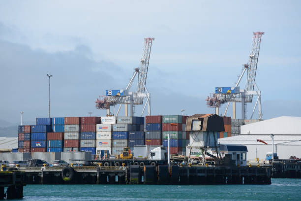 port of wellington - containerisation imagens e fotografias de stock