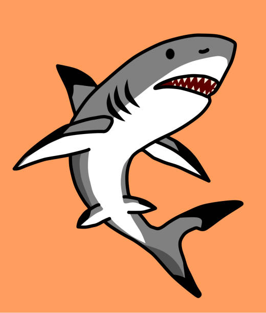 A fierce shark on an orange background. A fierce shark on an orange background. tiger shark stock illustrations