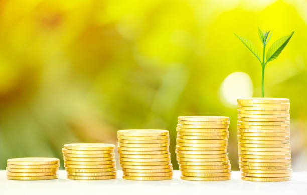 istock golden corners with fresh tree growth and bokeh background 1167895749