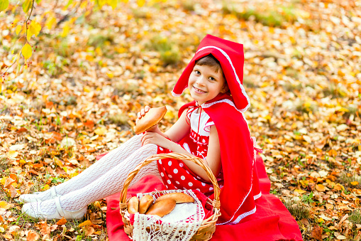 beautiful girl in a red dress sitting on yellow foliage in autumn, basket of pies