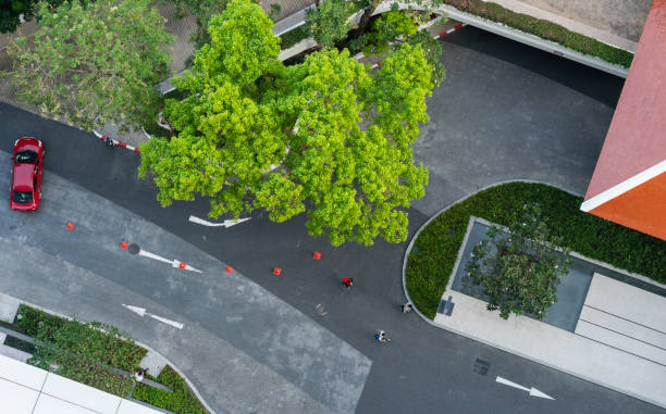 istock Top view street park 1167902901