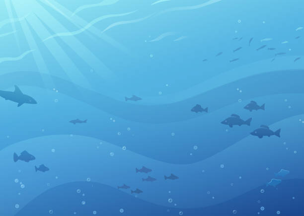 подводный фон - shark animal blue cartoon stock illustrations