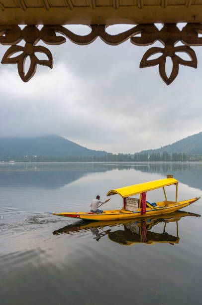 shikhara or Shikara boat floating on dal lake early morning unidentified boatman is sailing with his boat and looking for tourists in  Dal Lake, Sri Nagar, Jammu & Kashmir, India on june 23, 2018 lake nagin stock pictures, royalty-free photos & images