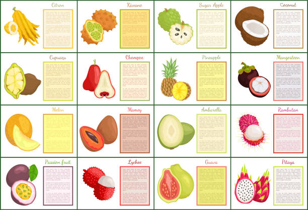 Citron and Bael Papaya Melon Posters Set Vector Citron and bael posters set text sample and tropical fruits vector. Melon and papaya, mangosteen and mamey, ambarella and pineapple cupuacu coconut rambutan stock illustrations