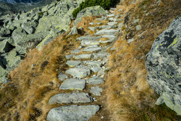 istock Stone path in the mountains. Stone steps, wild trail. 1167906705