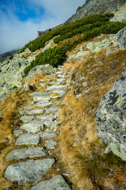 istock Stone path in the mountains. Stone steps, wild trail. 1167906706