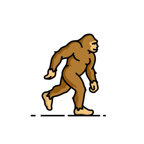 ilustraciones, imágenes clip art, dibujos animados e iconos de stock de icono de línea bigfoot - yeti