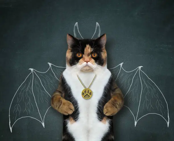 Photo of Cat wants to be bat 2
