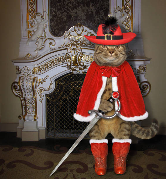 istock Cat in a red cloak in the palace 1167907870