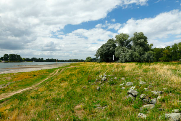 Riverbanks of the Rhine near Zons and Benrath, Cologne, Germany