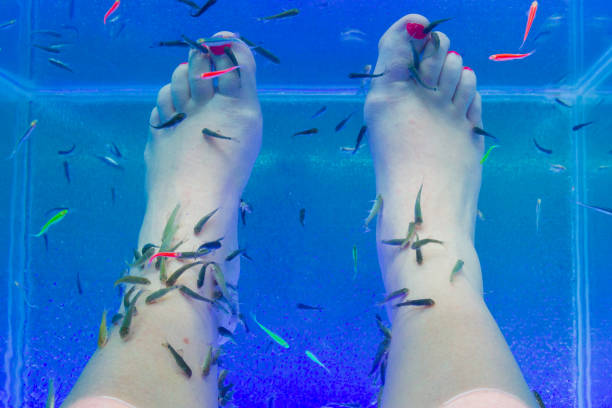 istock Fish Garra rufa in the aquarium treated feet 1167908174