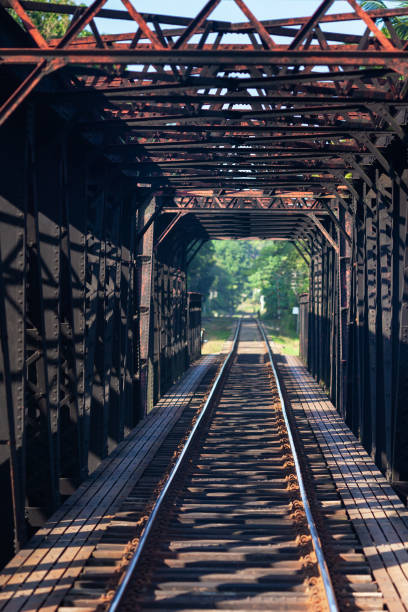 istock Old black railway bridge in Sri Lanka 1167908192