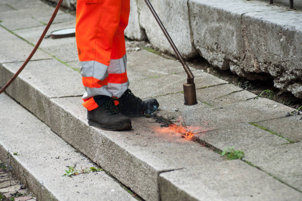istock worker burning grass on pavement  in the street 1167908769
