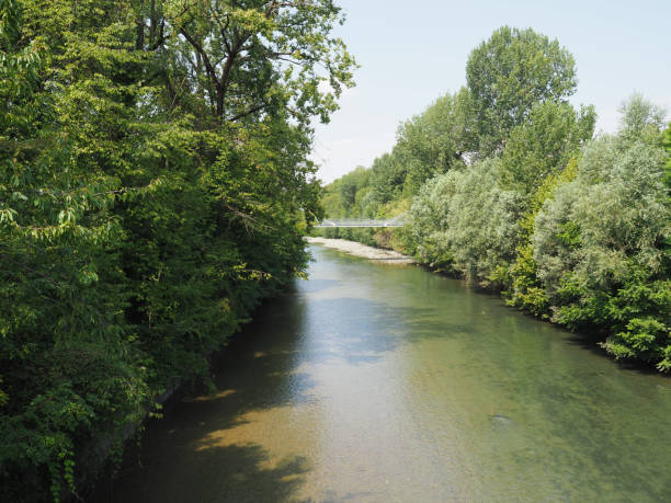 istock River Dora in Parco Dora park in Turin 1167908841