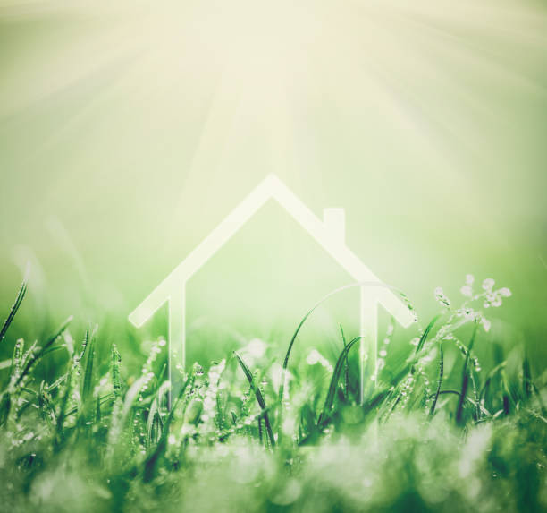 istock Home concept in fresh green grass. Clean house 1167910379