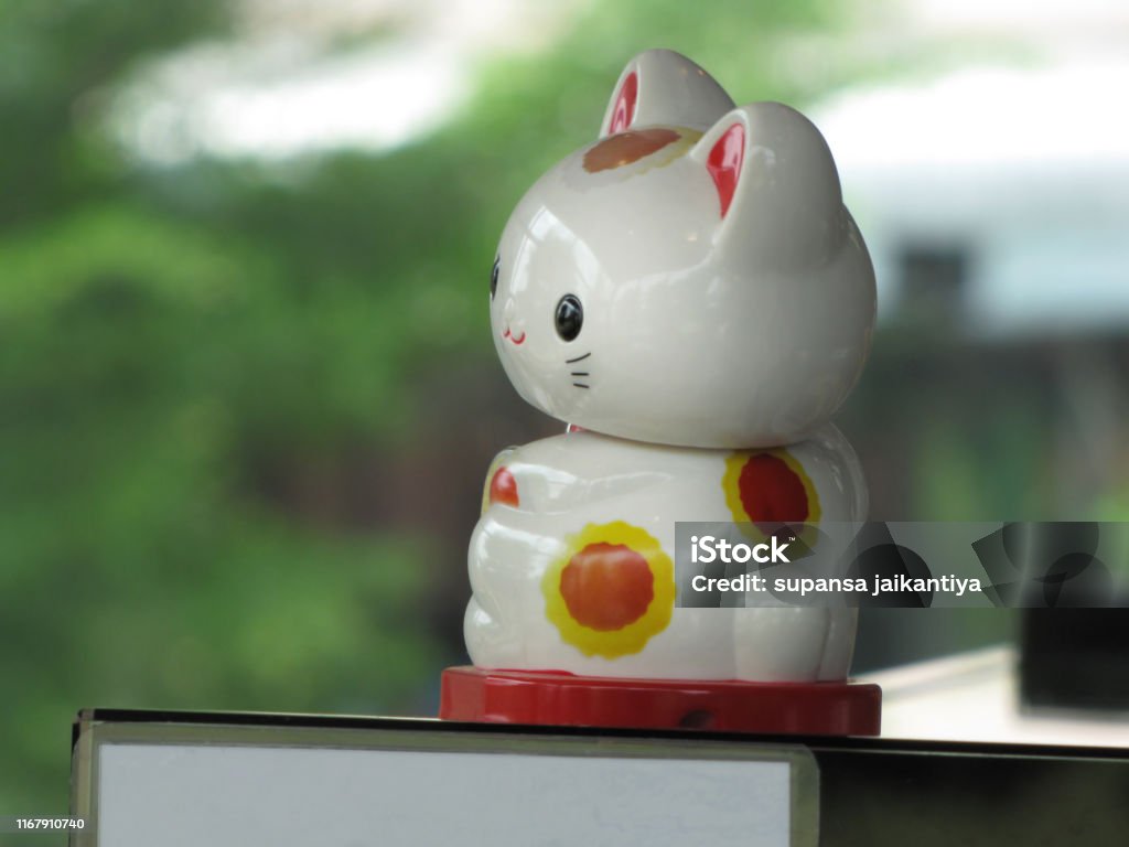White cat toy brings good luck. - Animal Stock Photo