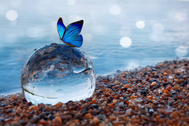 mariposa azul en una bola de cristal en el agua - paz mundial fotografías e imágenes de stock