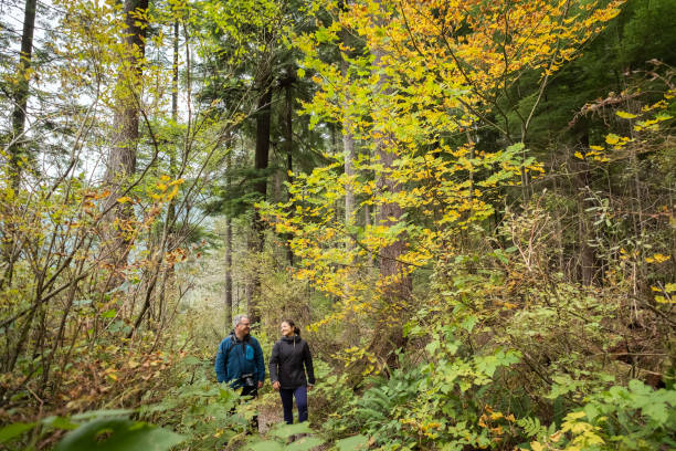 Father and Daughter Enjoy Fall Colors While Hiking Through Forest