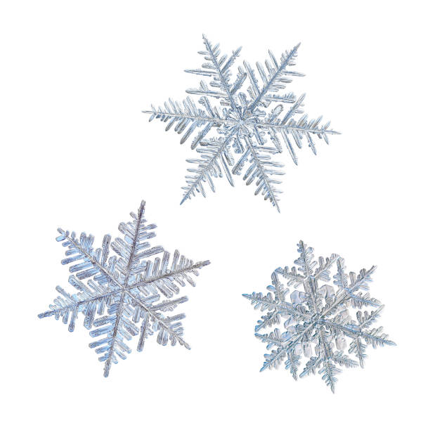 Three snowflakes isolated on white background stock photo