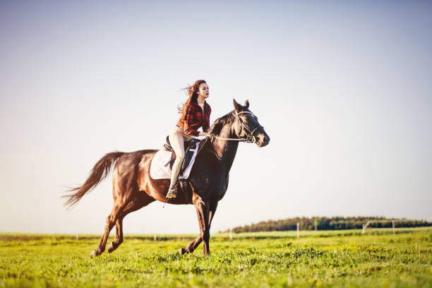 istock Woman riding a horse on a grass field. 1167920436