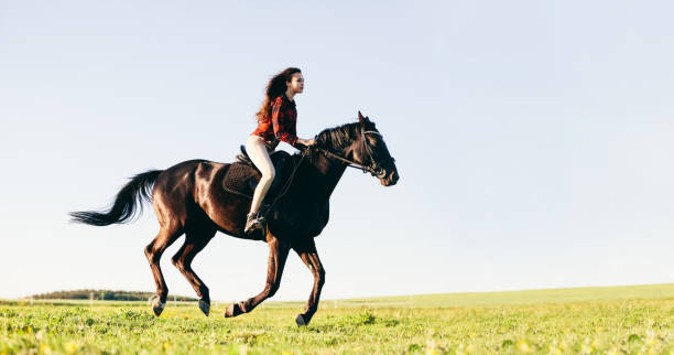 istock Woman riding a horse on a grass field. 1167920490