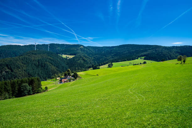 germania, pascoli verdi infiniti e boschi di paesaggi naturali della foresta nera con cielo blu in estate, un paradiso per escursionisti e trekking con vista sulla montagna schauinsland - black forest forest sky blue foto e immagini stock