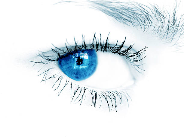 istock Closeup shot of blue eye on white background 116792595
