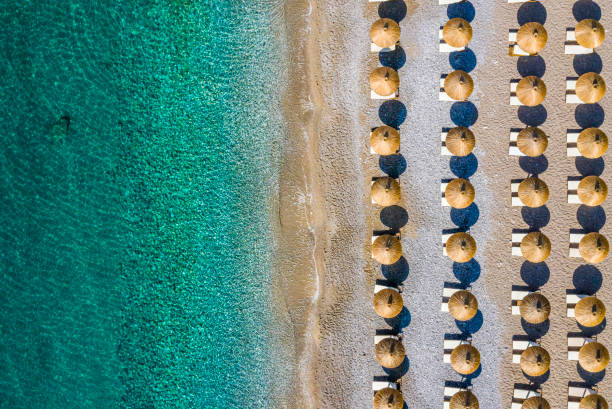 пляжная береговая линия усеяна зонтиками - mushroom edible mushroom water splashing стоковые фото и изображения