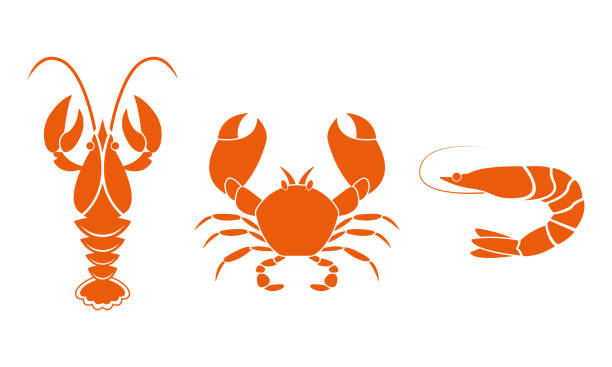 bildbanksillustrationer, clip art samt tecknat material och ikoner med räkor, languster och krabba ikoner. fisk och skaldjur designelement. vektor illustration. - shrimp