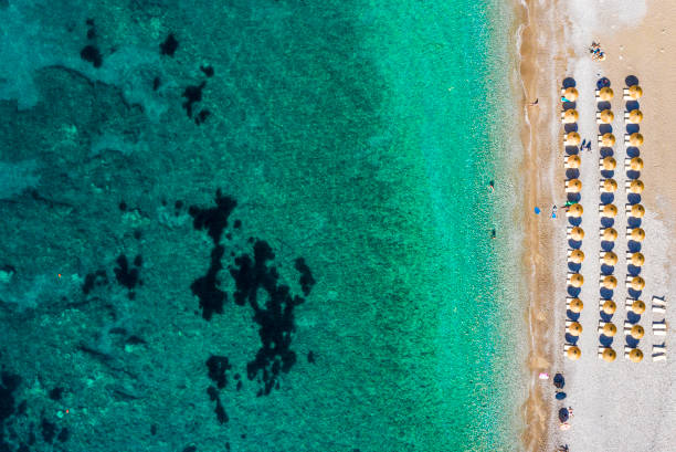 lits de soleil sur un rivage de plage, vu d'un point de vue de drone - mushroom edible mushroom water splashing photos et images de collection