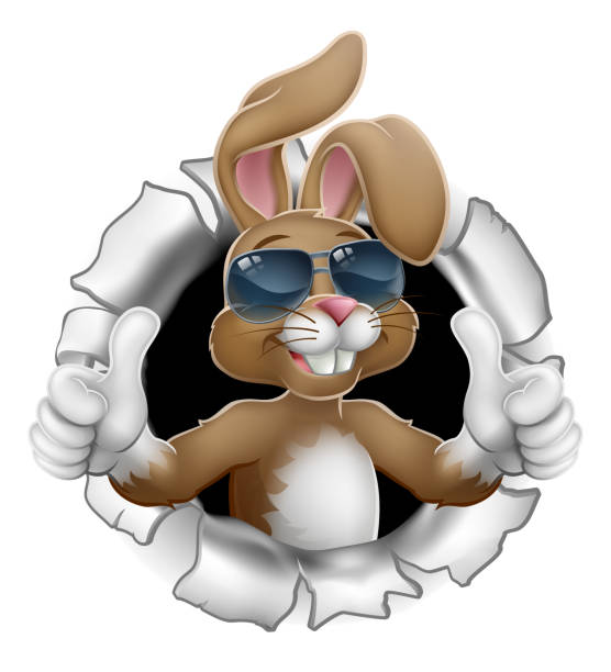 ilustraciones, imágenes clip art, dibujos animados e iconos de stock de easter bunny cool thumbs up rabbit en gafas de sol - clip art holiday white background humor