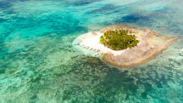 istock Guyam island, Siargao, Philippines. Small island with palm trees and a white sandy beach 1167928570