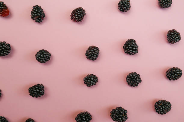 istock blackberry on a pink background. Top view 1167929643