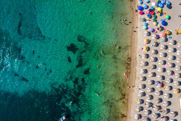 vista aérea de una playa de arena con filas de tumbonas y sombrillas que salen a un cuerpo contaminado de agua - mushroom edible mushroom water splashing fotografías e imágenes de stock