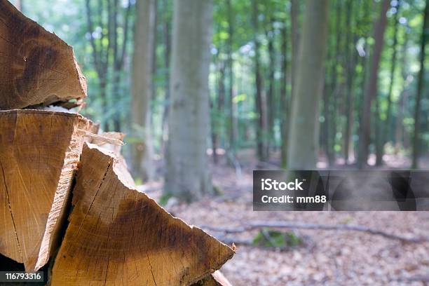 Faiais De Lenha - Fotografias de stock e mais imagens de Alemanha - Alemanha, Amarelo, Amontoar