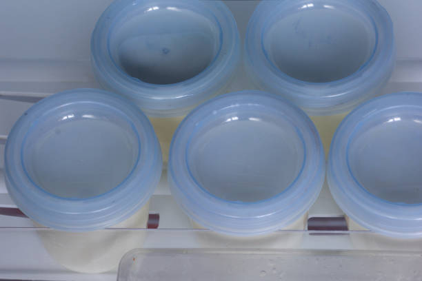 istock Breast milk storage containers stored in freezer 1167933246