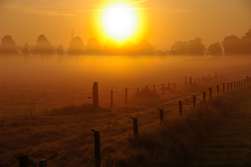 Foggy sunrise in the country
