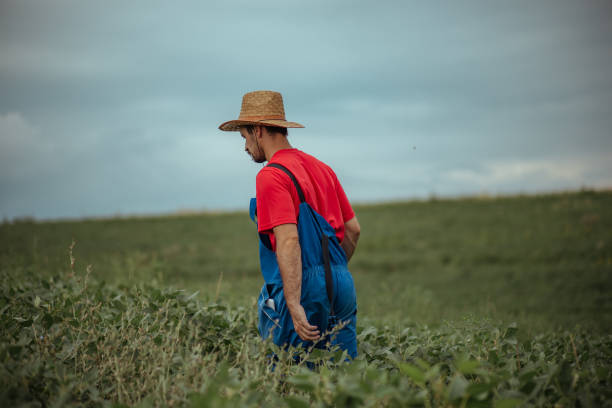 istock This farm is my pride and joy 1167937027