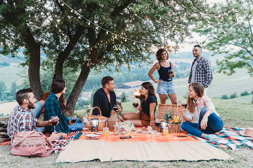 Friends doing a picnic together at sunset in the countryside. medium group of millennials people under a tree.