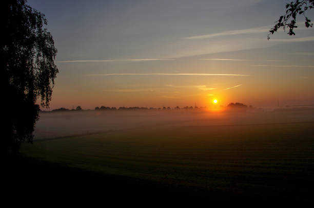 istock Foggy sunrise perspective 1167937127
