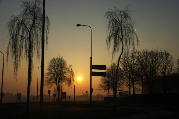 skrzyżowanie w mglistym wschodzie słońca - street light fog morning country road zdjęcia i obrazy z banku zdjęć