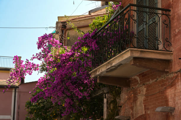 istock Violet climber on a balcony in an Italian old town, blue sky, 1167939433