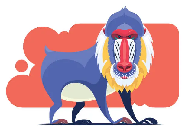 Vector illustration of mandrill character