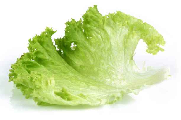 istock Fresh green lettuce isolated on white 1167946176